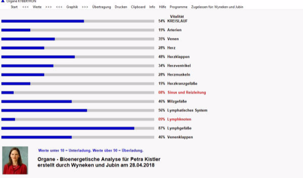 Radionik Software